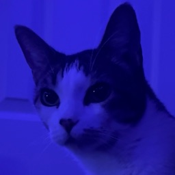 Moony